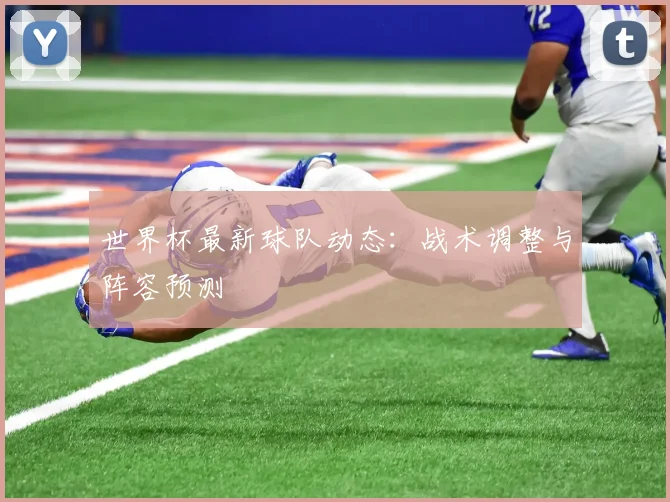 世界杯最新球队动态：战术调整与阵容预测